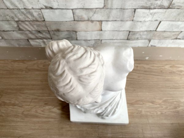 ミロのヴィーナス像 Plaster statue 石膏像 古代ギリシャ デッサン 絵画用品 ディスプレイ オブジェ ●