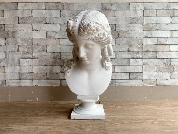 アリアス 胸像 Plaster statue 石膏像  デッサン 絵画用品 ディスプレイ オブジェ ●