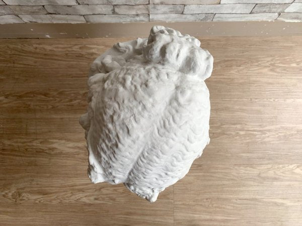 アリアス 胸像 Plaster statue 石膏像  デッサン 絵画用品 ディスプレイ オブジェ ●