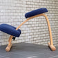 サカモトハウス SAKAMOTO HOUSE リボ Rybo バランスイージー Balance Easy ネイビー バランスチェア 学習椅子 ■