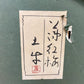 奥村土牛 リトグラフ 薄紅梅 日本画 額装品 ●