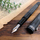 ペリカン Pelikan 万年筆 M101N リザード 限定品 特別生産品 現状品 ◎
