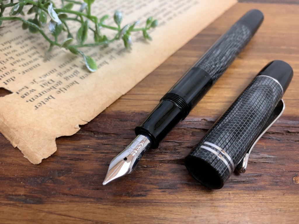 ペリカン Pelikan 万年筆 M101N リザード 限定品 特別生産品 現状品 ◎