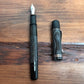 ペリカン Pelikan 万年筆 M101N リザード 限定品 特別生産品 現状品 ◎