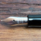 ペリカン Pelikan 万年筆 M101N リザード 限定品 特別生産品 現状品 ◎