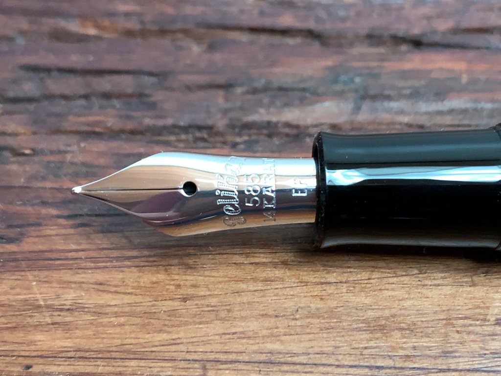 ペリカン Pelikan 万年筆 M101N リザード 限定品 特別生産品 現状品 ◎