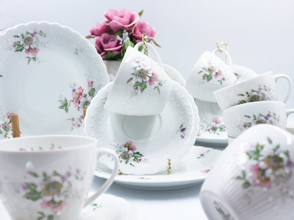 リモージュ Limoges ジョルジュ ボワイエ エグラン Georges Boyer porcelaine dure C&S & プレート 18点セット フランス ◎