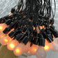 ドローグデザイン Droog Design 85ランプシャンデリア 85 lamp Chandelier ロディ･フラウマンス Rodie Graumans オランダ MOMA展示品 ●
