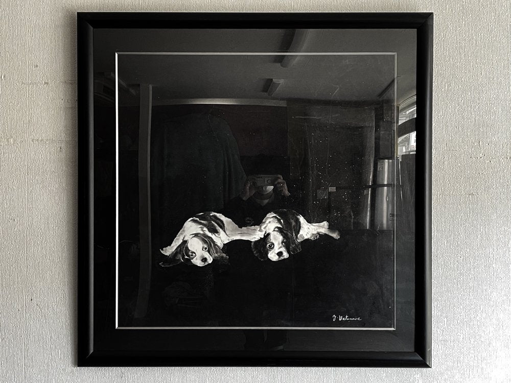 大型アートフレーム 絵画 水墨画 108×108cm 犬 キャバリア 額装品 S40 Y.Watanave オリジナル作品 ●