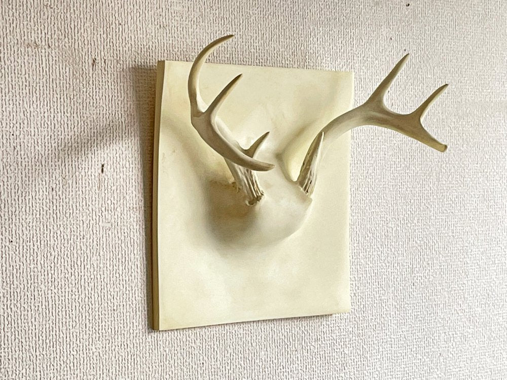 エリッヒ・ジンダー Erich Ginder ゴーストアントラー コートラック Ghost Antler Coat Rack ホワイト 28×28cm 合成樹脂 壁掛けフック アメリカ ●
