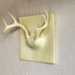 エリッヒ・ジンダー Erich Ginder ゴーストアントラー コートラック Ghost Antler Coat Rack ホワイト 28×28cm 合成樹脂 壁掛けフック アメリカ ●