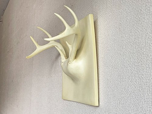 エリッヒ・ジンダー Erich Ginder ゴーストアントラー コートラック Ghost Antler Coat Rack ホワイト 28×28cm 合成樹脂 壁掛けフック アメリカ ●