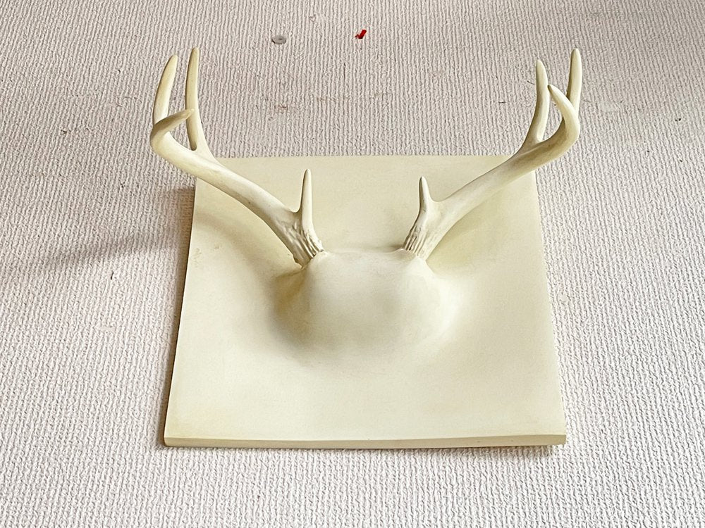 エリッヒ・ジンダー Erich Ginder ゴーストアントラー コートラック Ghost Antler Coat Rack ホワイト 28×28cm 合成樹脂 壁掛けフック アメリカ ●