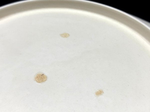 照井壮 So Terui デルフト深皿 Φ25.5cm 磁器 マットホワイト 陶芸家 現代作家 A ●