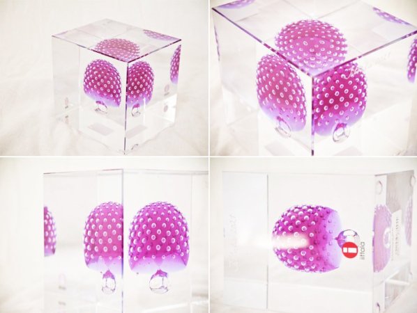 イッタラ iittala アニュアルキューブ Annual Cube 2021年 271/2000 オイバ・トイッカ Oiva Toikka 箱付 ◇