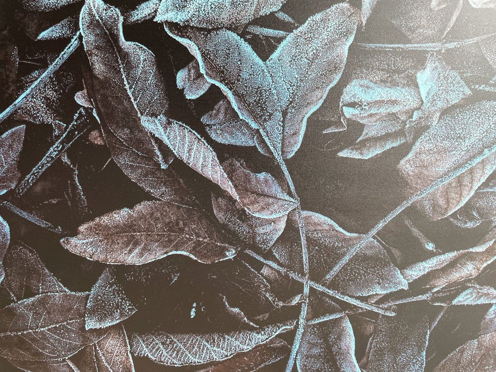 ボーコンセプト BoConcept フレームアート Beautiful Nature ウォールアート 60×80cm 額装品 ルームデコレーション 北欧モダン B ●