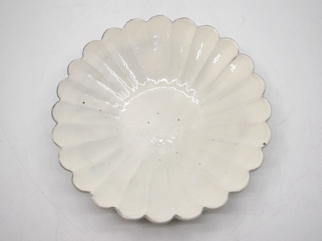 高島大樹 Daiki Takashima 粉引輪花皿 プレート 6寸 Φ20cm 白 現代作家 ●