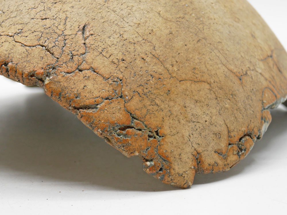 鷹尾葉子 Yoko Takao 変形 大鉢 深皿 ボウル W24cm 手びねり 現代作家 ●