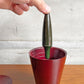 アレッシィ ALESSI ジョー・カクタス Joe Cactus アッシュトレイ 灰皿 フィリップ・スタルク イタリアンモダンデザイン MoMA ♪