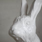 ゲルチョップ GELCHOP Wood land series ホワイトラビット WHITE RABBIT FRP オブジェ ■