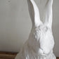 ゲルチョップ GELCHOP Wood land series ホワイトラビット WHITE RABBIT FRP オブジェ ■