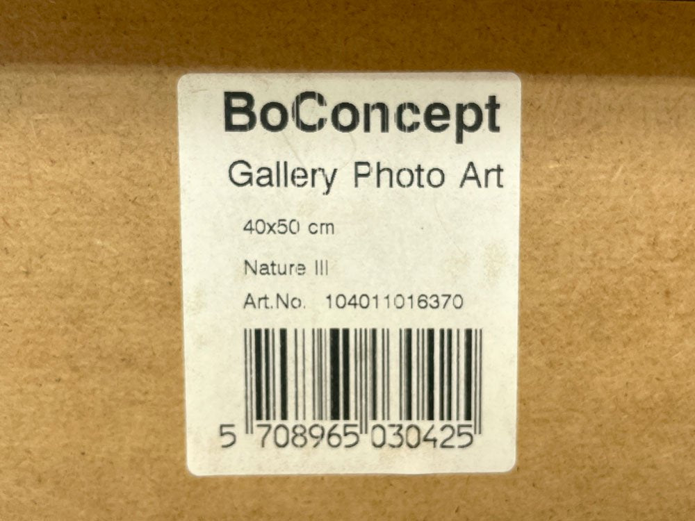 ボーコンセプト BoConcept ギャラリーフォトアート Gallery Photo Art ネイチャー Nature 3 アクリルパネル ルームデコレーション デンマーク ●