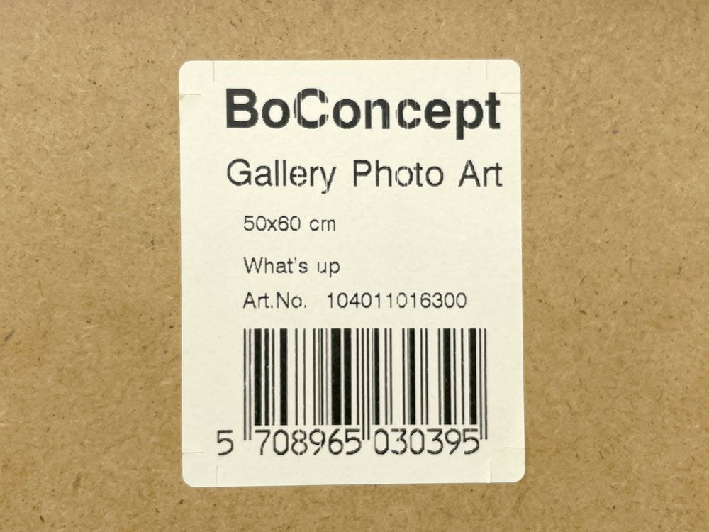 ボーコンセプト BoConcept ギャラリーフォトアート Gallery Photo Art ワッツアップ What's up パグ ルームデコレーション デンマーク ●