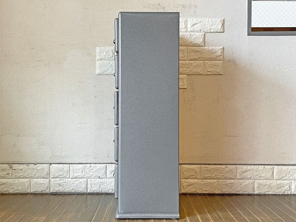 ダルトン DULTON 5ドロワーチェスト 5 DRAWERS CHEST RAW スチールチェスト H88cm インダストリアル 定価￥44,000- ◎