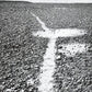 リチャード・ロング Richard Long "A Clearing, a Six Mile Walk in the Hoggar, the Sahara, 1989" ポスター 1991 Exibition オーク材フレーム付き ●