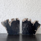 オーク ペトリファイド ウッド OAK Petrified Wood 珪化木 ブックエンド 本立て オブジェ ブラック系 ウッドストーン 鉱石 ◇