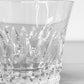 バカラ Baccarat ティアラ TIARA 2021年 イヤータンブラー ロックグラス ペア 2脚セット クリスタル 箱付 未使用品 ◎