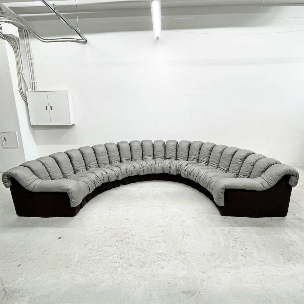デセデ de Sede DS-600 スネークソファ Snake Sofa 22ピース 本革 ウル・ベルガー Ueli Berger スイスビンテージ モビリア mobilia取り扱い 〓