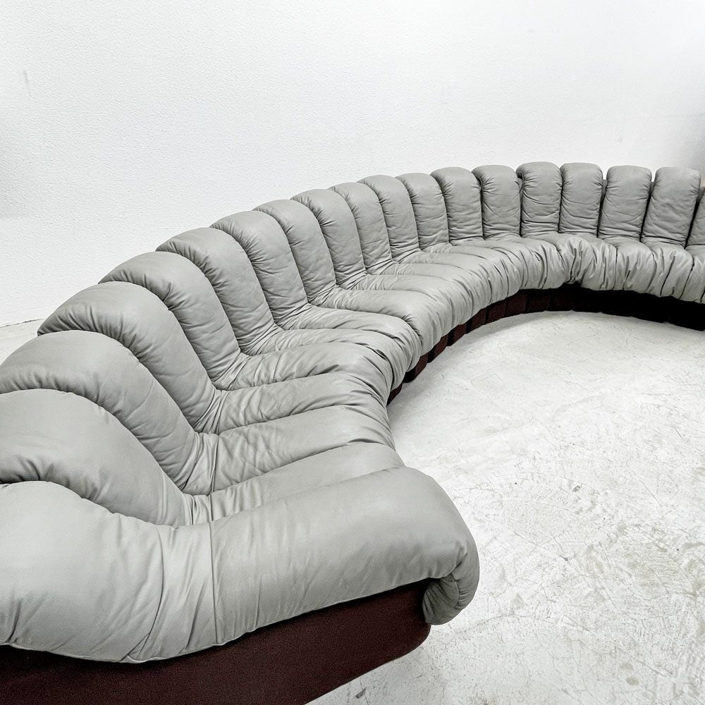 デセデ de Sede DS-600 スネークソファ Snake Sofa 22ピース 本革 ウル・ベルガー Ueli Berger スイスビンテージ モビリア mobilia取り扱い 〓