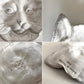 アスティエ・ド・ヴィラット ASTIER de VILLATTE シアン・エ・シャ Chien et Chat キャットディッシュ プレート 猫 Φ9cm 陶器 フランス ■