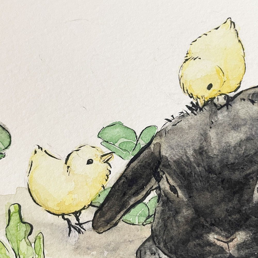 はるき堂 水彩画 黒ウサギとひよこ 27×22cm 額装品 赤崎晴樹 ◎