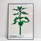 エルズワース・ケリー Ellsworth Kelly LOUISIANA ON PAPER 展覧会ポスター ひまわり サンフラワー Sunflower 2012年 ルイジアナ近代美術館 デンマーク 額装品 ●