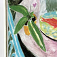 アンリ・マティス Henri Matisse 金魚 The Goldfish ポスター オフセット印刷スクリーンサイズ 48×74cm 額装品 ●