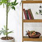 クラッシュゲート CRASH GATE ノットアンティークス Knot antiques パレット PALLET オープンシェルフ 3段 杉古材 スチールメッシュ インダストリアル 工業系 ●