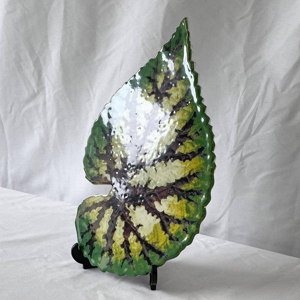 アスティエ・ド・ヴィラット Astier de Villatte ジョン・デリアン John Derian トロピカルリーフ リーフプラッター W28.5cm フランス ◇