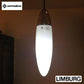 ◎ドイツ "LIMBURG"  Pendant Lamp F8254N B ／ リンブルグ ペンダントランプ B ヤマギワ取扱