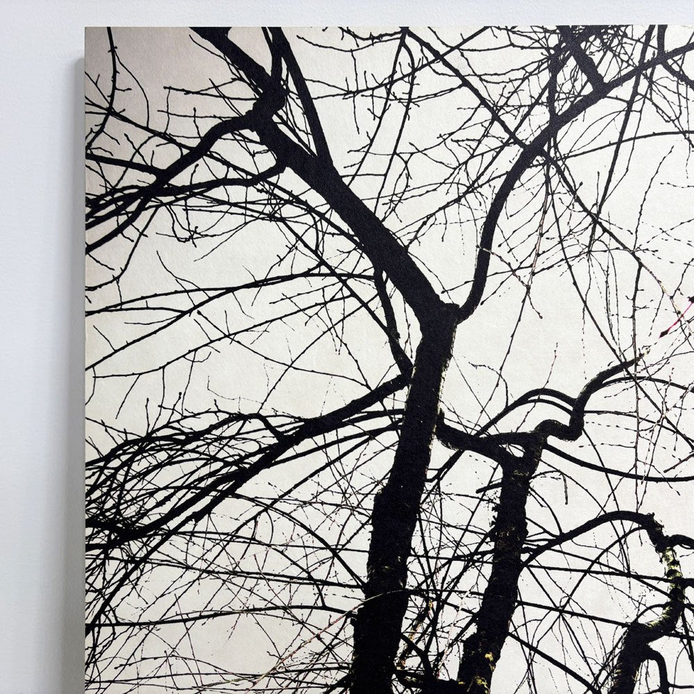 フォト ウォールアート アートフレーム パネル 白黒写真 モノトーン 樹木 mtサイン入り エディションNo.1/3 作家不明 ポスター 壁掛けインテリア ●