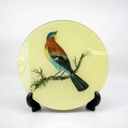 ジョンデリアン JOHN DERIAN デコパージュプレート Decoupage plate バード bird ブラウン 飾り皿 Φ21.5cm アッシュペーフランス H.P. FRANCE 取扱 ●