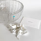 ティファニー Tiffany&co アトラス クリスタルボウル クリスタルガラス Φ28cm ローマンインデックス イタリア製 箱付き ■