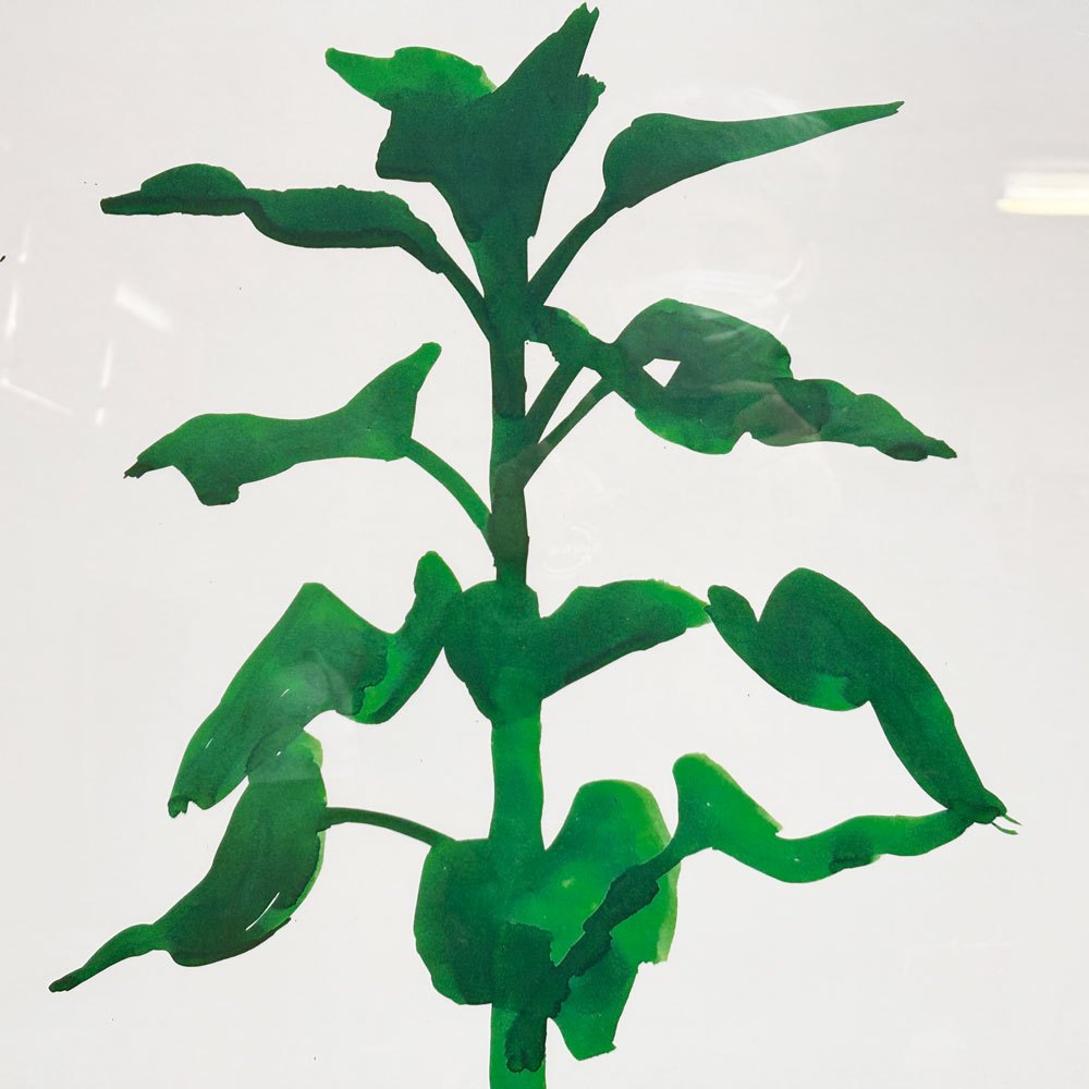 エルズワース・ケリー Ellsworth Kelly LOUISIANA ON PAPER 展覧会ポスター ひまわり サンフラワー Sunflower 2012年 ルイジアナ近代美術館 デンマーク 額装品 ●