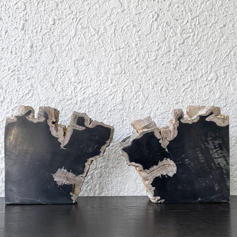 オーク ペトリファイド ウッド OAK Petrified Wood 珪化木 ブックエンド 本立て オブジェ ブラック系 ウッドストーン 鉱石 ◇