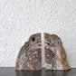 オーク ペトリファイド ウッド OAK Petrified Wood 珪化木 ブックエンド 本立て オブジェ ベージュ系 ウッドストーン 鉱石 ◇