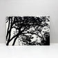 マリメッコ marimekko トゥーリ TUULI ファブリックパネル マイヤ・イソラ 90×60cm モノトーン ブラック＆ホワイト 北欧 フィンランド ●