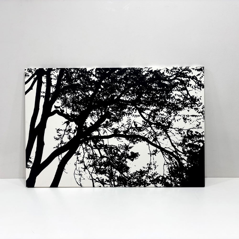 マリメッコ marimekko トゥーリ TUULI ファブリックパネル マイヤ・イソラ 90×60cm モノトーン ブラック＆ホワイト 北欧 フィンランド ●