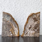 オーク ペトリファイド ウッド OAK Petrified Wood 珪化木 ブックエンド 本立て オブジェ ベージュ系 ウッドストーン 鉱石 ◇