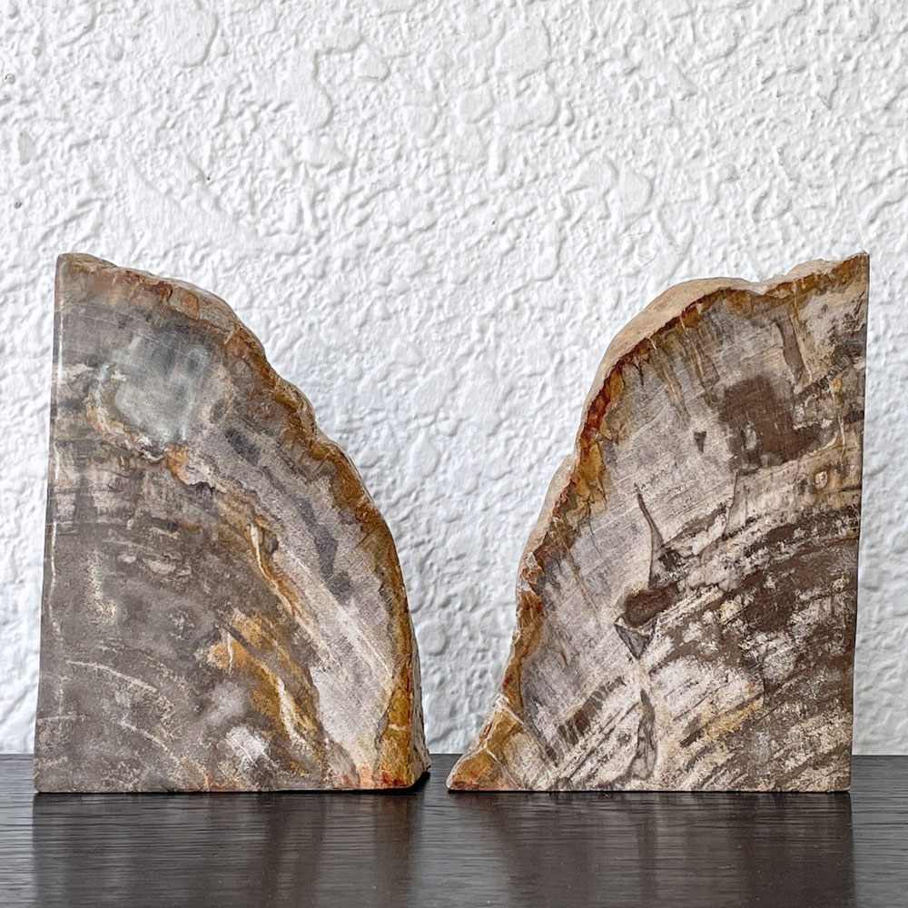 オーク ペトリファイド ウッド OAK Petrified Wood 珪化木 ブックエンド 本立て オブジェ ベージュ系 ウッドストーン 鉱石 ◇